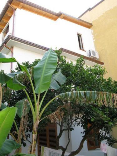 Bed and Breakfast Mare Blu Gioiosa Marea Exterior foto